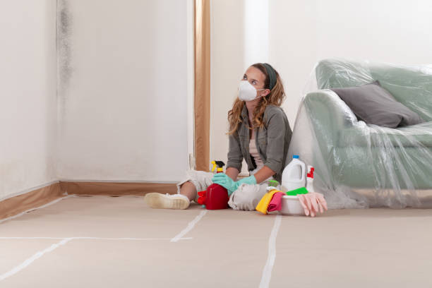 Reliable Mold Testing contractor in Marshall, MN by WQB Mold Removal